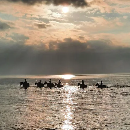 Am Reiterhof Sandmaennchen *